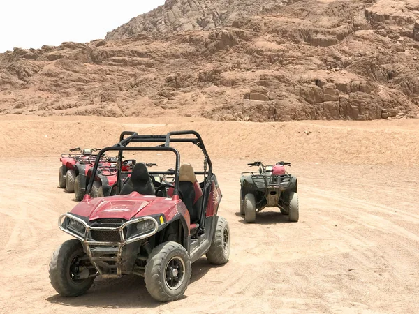 Dört tekerlekli çok renkli güçlü hızlı off-road dört tekerlekten çekiş arabaları, Araba, SUV'lar yüksek dağlar çerçevede Park yerinde kum üzerinde sıcak kumlu çölde bir sürü.