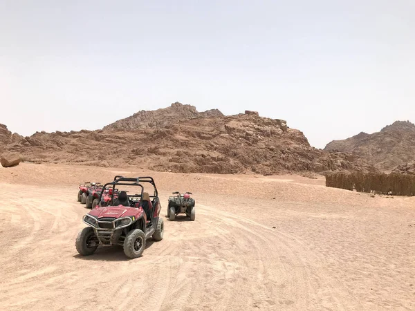 A lot of four-wheeled multicolored powerful fast off-road four-wheel drive buggies, cars, SUVs in the sandy hot desert on the sand in the parking lot against the background of high mountains.