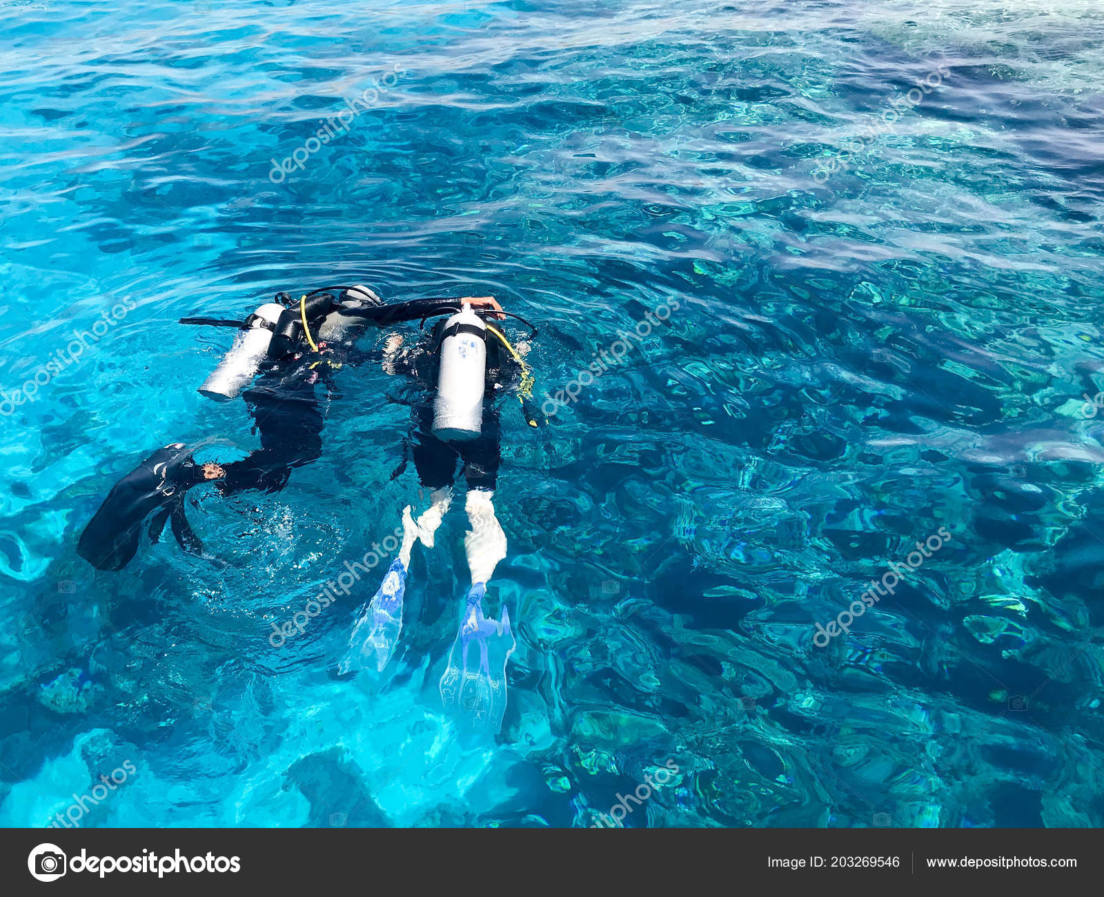 Buceadores Traje De Buzo Marino Dos Buceadores Trajes Buceo Negro