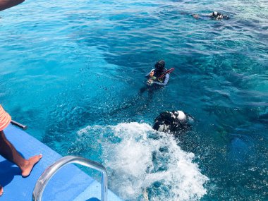 Üç dalgıçlardan siyah tüplü dalış takım elbise, bir adam ve bir kadın oksijen şişe ile lavabo şeffaf mavi su deniz, okyanus bir tropik cennet sıcak tatil altında.