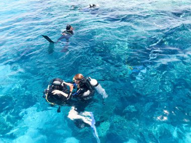 Üç dalgıçlardan siyah tüplü dalış takım elbise, bir adam ve bir kadın oksijen şişe ile lavabo şeffaf mavi su deniz, okyanus bir tropik cennet sıcak tatil altında.