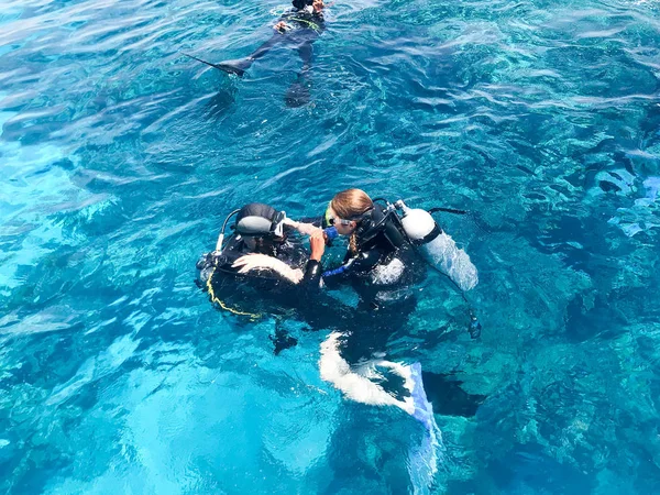 Üç dalgıçlardan siyah tüplü dalış takım elbise, bir adam ve bir kadın oksijen şişe ile lavabo şeffaf mavi su deniz, okyanus bir tropik cennet sıcak tatil altında.