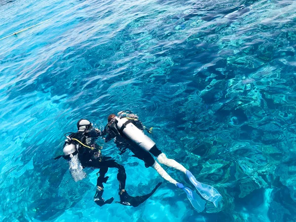 İki dalgıçlar siyah tüplü dalış takım elbise, bir adam ve bir kadın oksijen şişe ile lavabo şeffaf mavi su deniz, okyanus bir tropik cennet sıcak tatil altında.