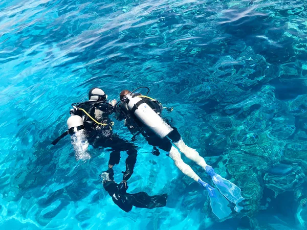İki dalgıçlar siyah tüplü dalış takım elbise, bir adam ve bir kadın oksijen şişe ile lavabo şeffaf mavi su deniz, okyanus bir tropik cennet sıcak tatil altında.