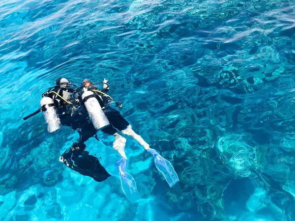 İki dalgıçlar siyah tüplü dalış takım elbise, bir adam ve bir kadın oksijen şişe ile lavabo şeffaf mavi su deniz, okyanus bir tropik cennet sıcak tatil altında.