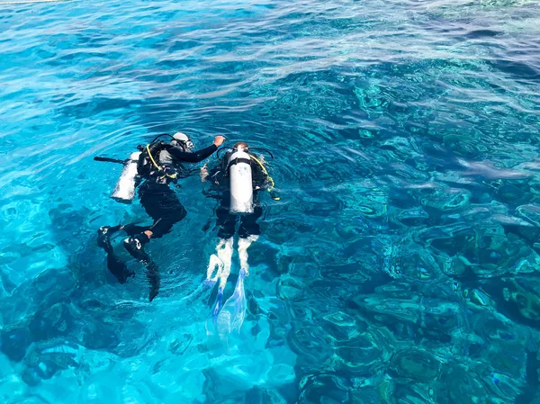 Two Divers Black Scuba Diving Suits Man Woman Oxygen Bottles — Stock Photo, Image
