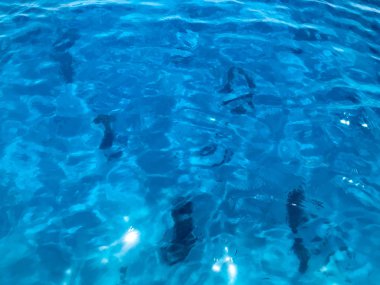 Güzel mavi deniz Şeffaf şeffaf ıslak-korkuluk, parlayan tuzlu su, deniz, okyanus, Deniz yüzeyinin arka plan dokusu.