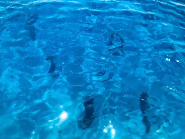 Güzel mavi deniz Şeffaf şeffaf ıslak-korkuluk, parlayan tuzlu su, deniz, okyanus, Deniz yüzeyinin arka plan dokusu.