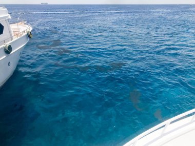 Yaklaşan iki iki beyaz gemi, tekne kapat ve su, bir tropikal tatil beldesi mavi bir Tuz Denizi manzarasına bulunan