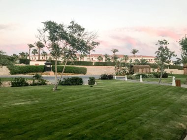 Yeşil çim ve Arap Arap İslam beyaz bina akşam manzarası. evler palm ağaçlar ve bitkiler günbatımı, tropikal yeşil arka planı.