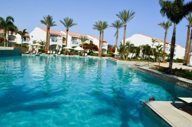 Yüzme Havuzu, açık mavi su şezlong şemsiye güneş şemsiyesi ve palmiye ağaçlarının bir tropikal ılık deniz tatil, dinlenme