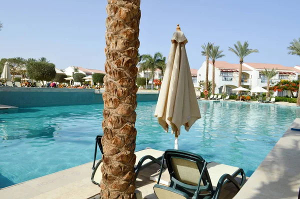 Yüzme Havuzu, açık mavi su şezlong şemsiye güneş şemsiyesi ve palmiye ağaçlarının bir tropikal ılık deniz tatil, dinlenme