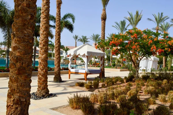 Baldachim baldachim biały na filarach nad łóżkiem i palm drzew na tropikalne morze ciepłe resort, reszta — Zdjęcie stockowe