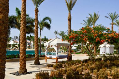 Baldachin beyaz gölgelik bir tropikal ılık deniz resort, geri kalanı üzerinde yatak ve palm ağaçlar üzerinde sütunlar üzerinde