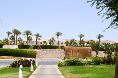 Güzel bir ahşap otobüs durağı bir ülkede sıcak tropikal egzotik bir arka plan yeşil bitkiler ve palmiye ağaçları Resort'ta bir sokakta toplu taşıma