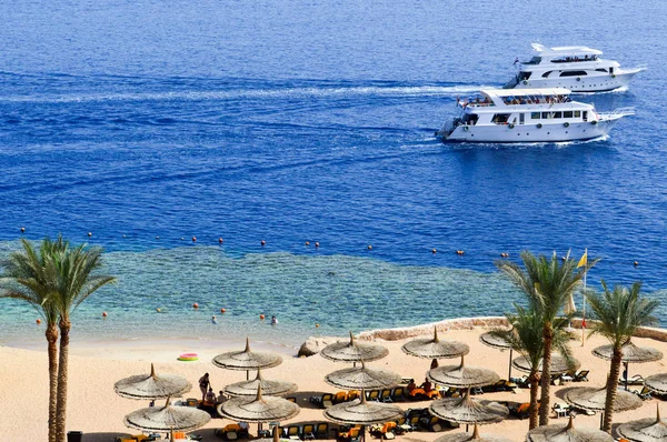 Kumlu bir plaj şezlong ve şemsiyeleri ve iki büyük beyaz gemi, tekne, bir tropikal sıcak egzotik ülkede, bir tatil beldesi tatile denizde yüzen bir cruise liner üstten görünüm — Stok fotoğraf