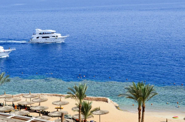 Blick von oben auf einen Sandstrand mit Liegestühlen und Sonnenschirmen und zwei großen weißen Schiffen, einem Boot, einem im Meer treibenden Kreuzfahrtschiff im Urlaub in einem tropisch warmen exotischen Land, einem Badeort — Stockfoto