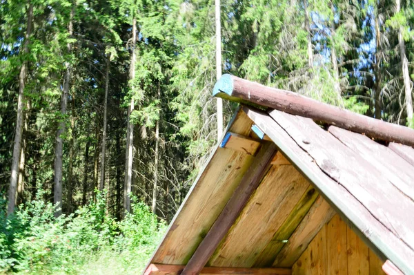 Hellende dak van de driehoekige van houten gammele oude hut huisje in een bos van logs van planken tegen de achtergrond van bomen — Stockfoto