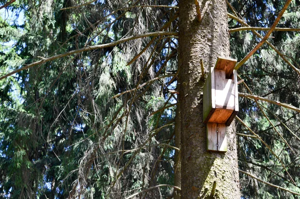 A small wooden birdhouse, a house for birds from planks of self-made hanging high on a pine tree in the forest — Stock Photo, Image