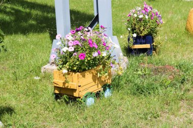 Ev yapımı flowerbed güzel cet ve bitkiler, yeşil ve yeşil çim ile