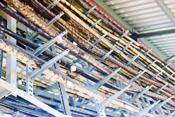 Metal draden in een bos. Technologische buizen op metaal staat met tin labels. Op de chemische productie van ongebruikelijke structuren onder het dak. Complexe communicatie. Veelkleurige metalen constructiewerken — Stockfoto