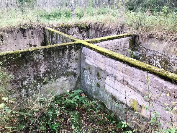 Старый бетонный цемент незавершенный подземный фундамент разрушенного здания, заросшего зеленым мхом — стоковое фото