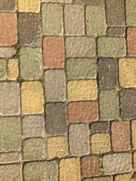 Texture of multicolored beautiful rectangular stone concrete paving brick tiles with seams overgrown with green grass. The background — Stock Photo, Image