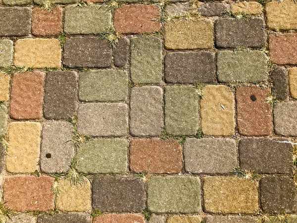 Textuur van veelkleurige mooie rechthoekige steen betonnen bestratingseenheden bakstenen, tegels met naden begroeid met gras. De achtergrond — Stockfoto