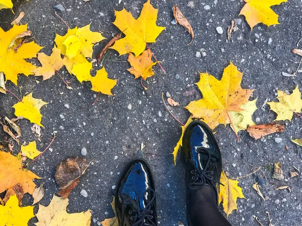 Πόδια σε όμορφο μαύρο δέρμα λείο γυαλιστερό παπούτσια στο κίτρινο και κόκκινο, καφέ χρώματος φυσικό φθινοπωρινά φύλλα στο πεζοδρόμιο — Φωτογραφία Αρχείου