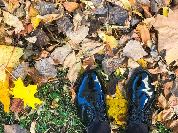 Πόδια σε όμορφο μαύρο δέρμα λείο γυαλιστερό παπούτσια στο κίτρινο και κόκκινο, καφέ χρώματος φυσικό φθινοπωρινά φύλλα — Φωτογραφία Αρχείου