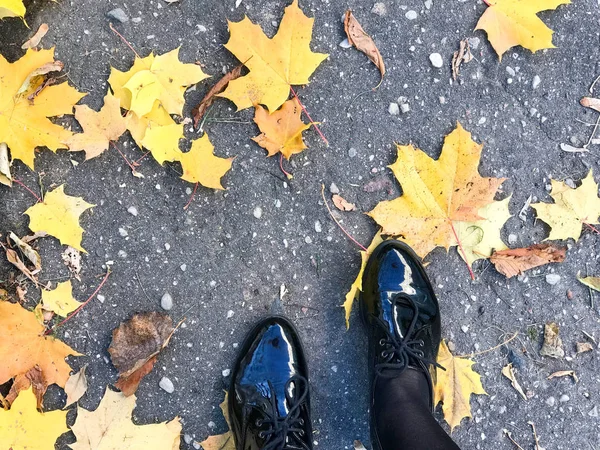 Πόδια σε όμορφο μαύρο δέρμα λείο γυαλιστερό παπούτσια στο κίτρινο και κόκκινο, καφέ χρώματος φυσικό φθινοπωρινά φύλλα στο πεζοδρόμιο — Φωτογραφία Αρχείου