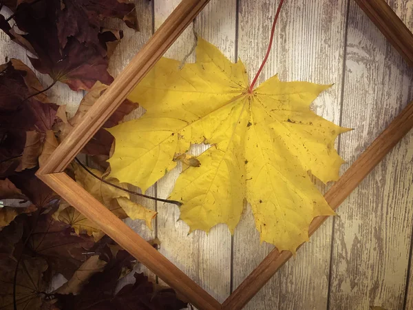 Rámeček dřevěný obdélníkový obrázku a žluté barevné přírodní podzimní listy, javor na pozadí dřevěných prken. Na pozadí. Textura — Stock fotografie