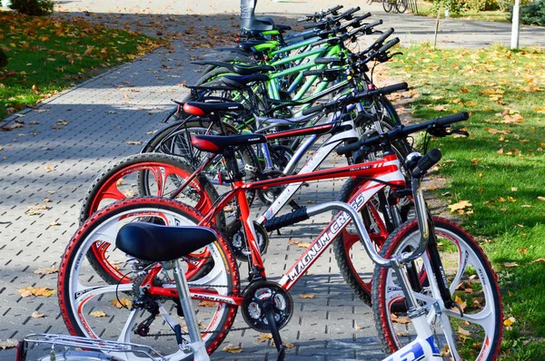 Piękne sportowe górskie wielobarwny rowerów do uprawiania sportu i rekreacji są zaparkowane w rzędzie. Białoruś, Mińsk, 12 września 2018 r. — Zdjęcie stockowe