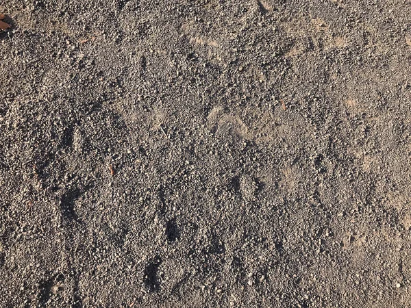 Textur aus grauer trockener Erde, Sand mit großen Kieselsteinen. der Hintergrund — Stockfoto