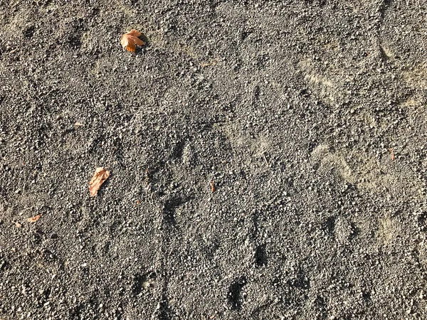 Het patroon van grijze droge aarde, zand met grote kiezels. De achtergrond — Stockfoto