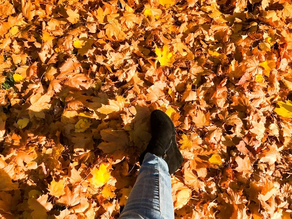 Weibliche schlanke Beine in Jeans und Stiefeln, Schuhe vor gelbem, trockenem, abgefallenem Herbstlaub. mehrfarbige natürliche rote und gelbe Blätter. der Hintergrund — Stockfoto