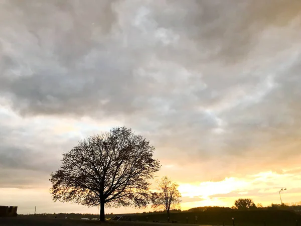 Paisaje de un hermoso parque y naturaleza otoñal con árboles al atardecer — Foto de Stock