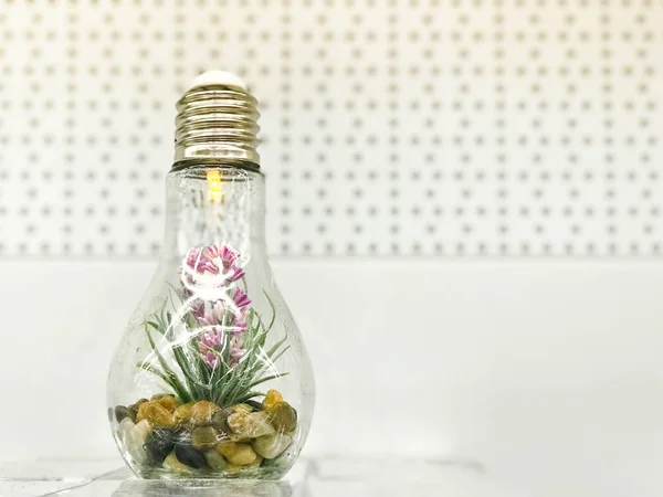 Маленький зеленый органический цветок растения растет внутри стеклянной лампочки. Концепция: экология, защита планеты — стоковое фото