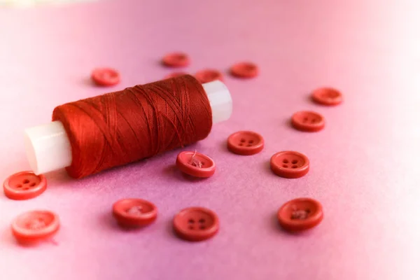 Hermosa textura con muchos botones redondos de color rosa para coser, costura y una bobina de hilo. Copiar espacio. Acostado. Rosa, fondo púrpura — Foto de Stock