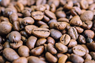 Güzel dokusu seçili lezzetli zengin kahverengi doğal hoş kokulu kahve ağacı tahıl, Arabica kahve çekirdekleri, Robusta taze kavrulmuş. Kopya alanı, arka plan