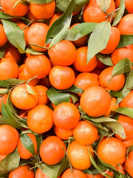 Beautiful yellow, orange, natural, sweet, tasty, ripe, soft, round, bright tangerines, fruits, clementines with green leaves. Texture, background