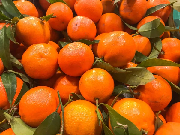 Beautiful yellow, orange, natural, sweet, tasty, ripe, soft, round, bright tangerines, fruits, clementines with green leaves. Texture, background