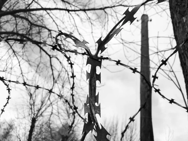 Eisen Metall scharfen gefährlichen schützenden Stacheldraht auf dem Zaun mit Stacheln und Pfählen gegen den Himmel — Stockfoto