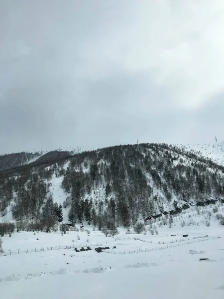 美丽的高山寒冷冬季度假胜地，高山最高峰，薄雾，白雪覆盖岩石，在蓝天滑雪板上滑行 — 图库照片