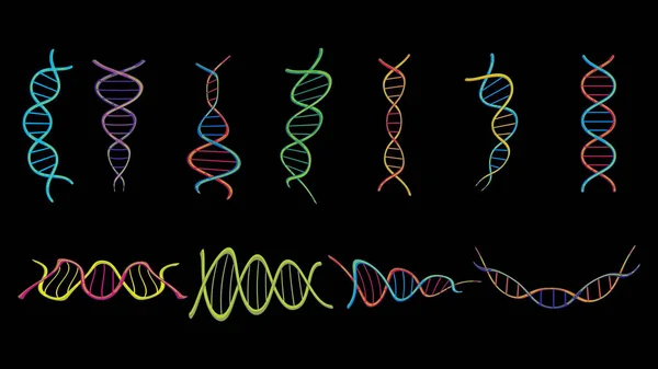 Um conjunto de quatro multicoloridas belas estruturas médicas científicas torcidas de espirais de modelos abstratos de genes de dna em um fundo preto. Ilustração vetorial —  Vetores de Stock