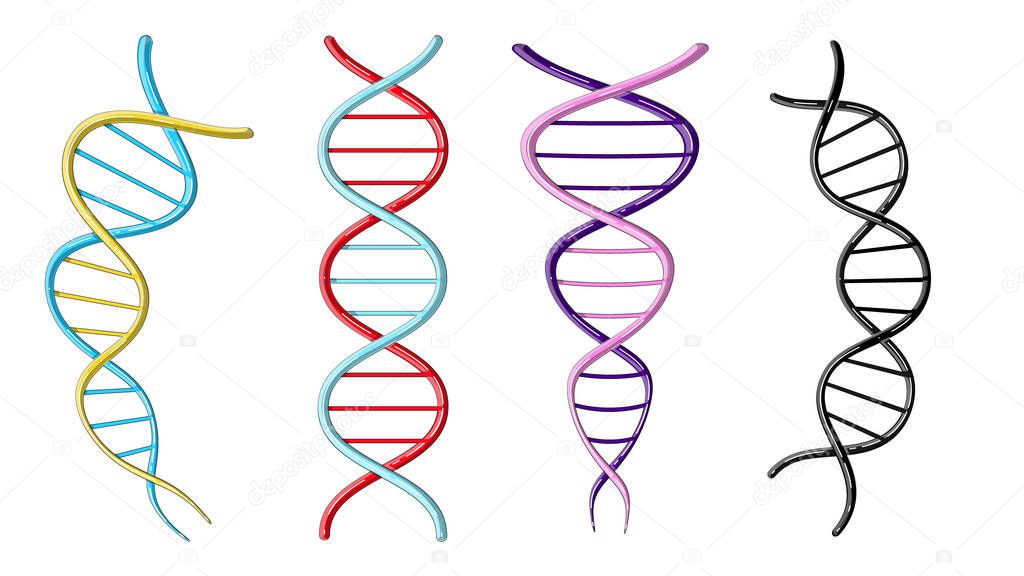 A set of four multicolored beautiful medical scientific twisted structures of spirals of abstract models of DNA genes on a white background. Vector illustration