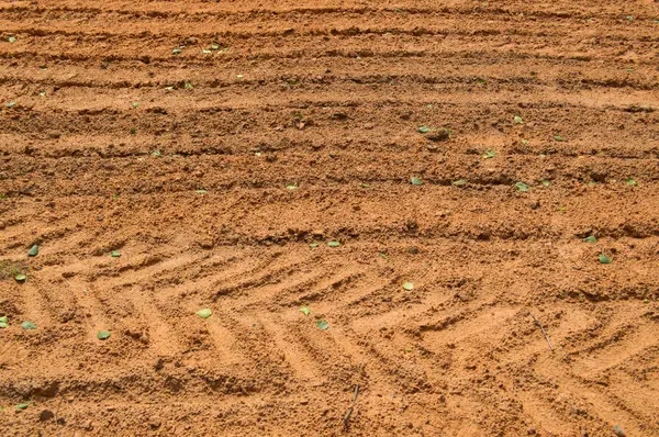 De textuur van de bruine aarde van de zandweg met sporen van de banden treden van de autobanden van de tractor. De achtergrond — Stockfoto