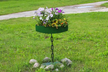 Geçici geniş bir çiçek tarlasında güzel bitkiler. Diy bahçe dec