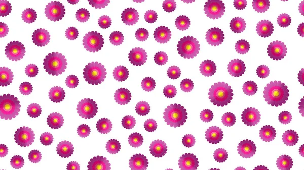 Бесконечный бесшовный узор из фиолетовых красивых полевых цветов с лепестками на белом фоне. Векторная иллюстрация — стоковый вектор