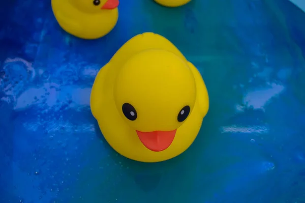 Um pato de borracha amarelo escuro flutua em epóxi em busca de comida. devido à poluição dos corpos hídricos, mesmo os patos de brinquedo não têm água para nadar nos oceanos — Fotografia de Stock